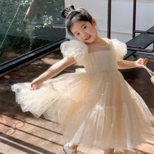 Little Princess Party Dress