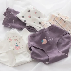 5PCS Thin Cotton Antibacterial Panties