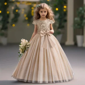 Long Gown Princess Dress
